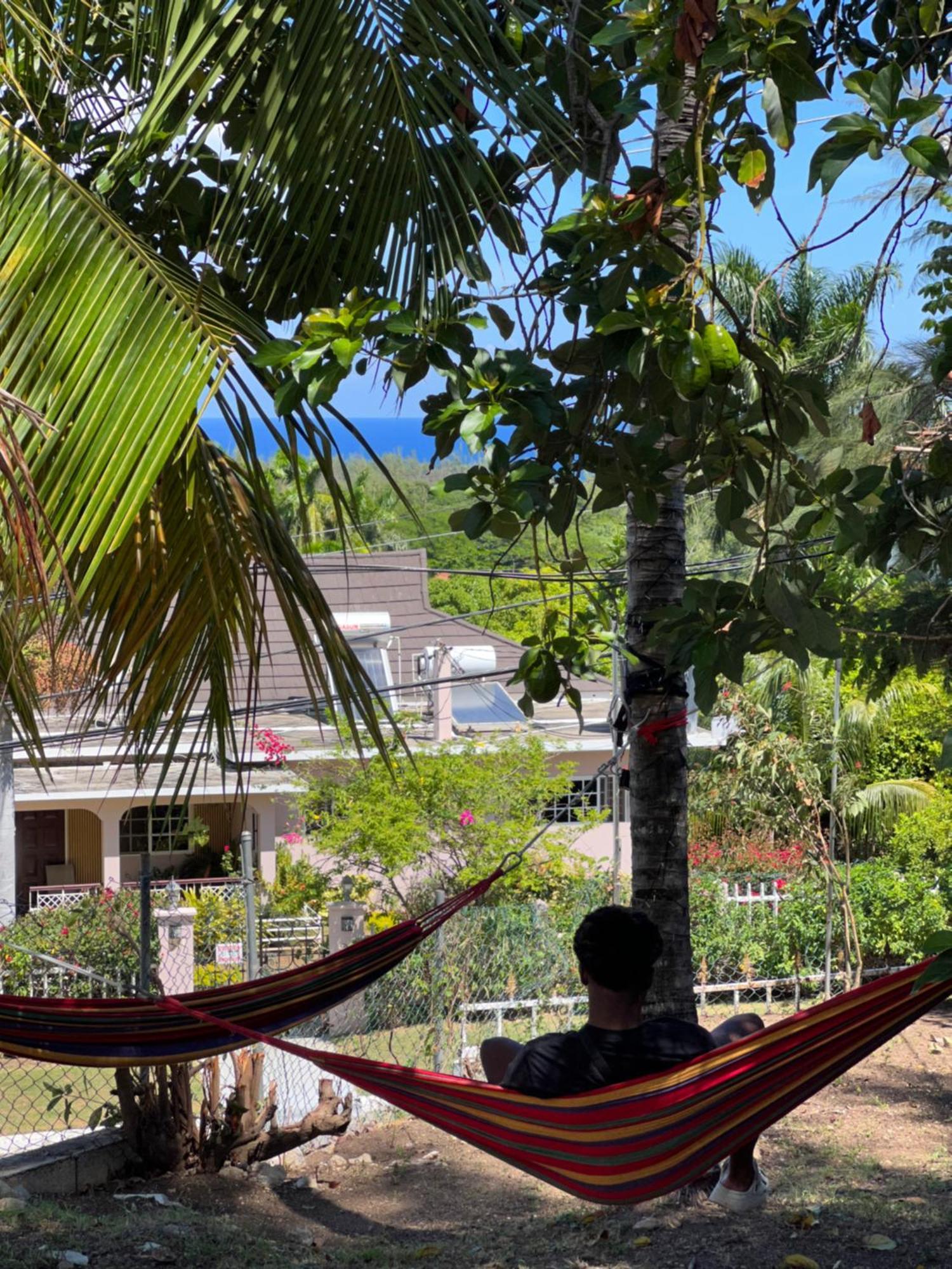 Peaceful Palms Montego Bay Otel Dış mekan fotoğraf